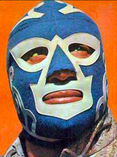 Blue and White Mask Lucha