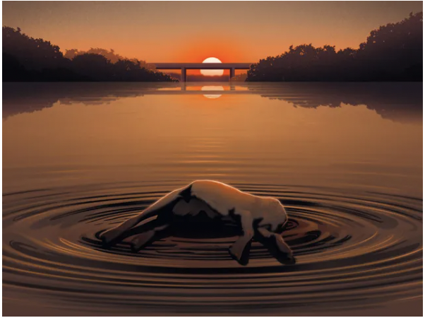 sun setting atop of a river